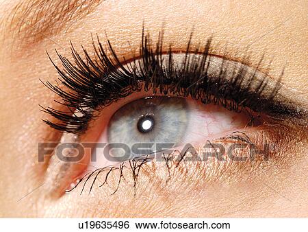 Up close to a blue female eye View Large Photo Image Stock Photograph - Up close to a blue female eye. Fotosearch