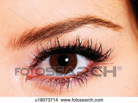 Up close to a brown eye View Large Photo Image Picture - Up close to a brown eye. Fotosearch
