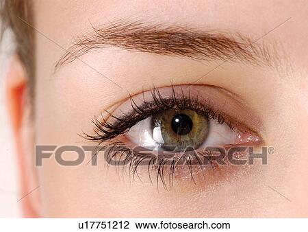Up close to a female green eye View Large Photo Image Stock Image - Up close to a female green eye. Fotosearch