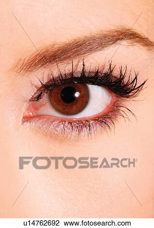Stock Image - Up close to a female's brown eye. Fotosearch