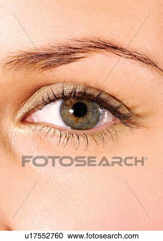 Up close to a hazel female eye View Large Photo Image Stock Image - Up close to a hazel female eye. Fotosearch