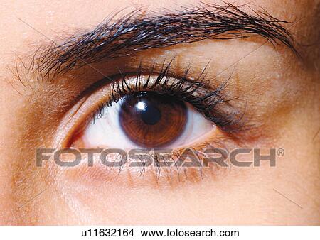Picture - Young Adult, Young Woman, One Young Woman Only, One Person, Human Face, Detail. Fotosearch
