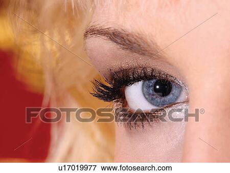 Young Adult, Young Woman, One Young Woman Only, One Person, Human Face, Detail View Large Photo Image Stock Photo - Young Adult, Young Woman, One Young Woman Only, One Person, Human Face, Detail. Fotosearch