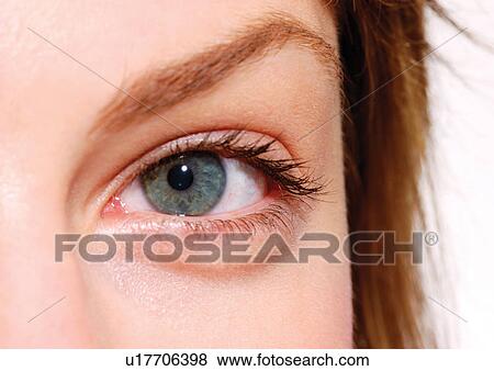 Young Adult, Young Woman, One Young Woman Only, One Person, Human Face, Detail View Large Photo Image Stock Photo - Young Adult, Young Woman, One Young Woman Only, One Person, Human Face, Detail. Fotosearch