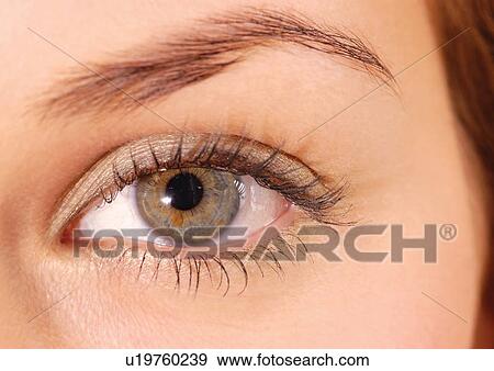 Young Woman, Looking At Camera, Eyeball, Young Adult, Part Of, Indoor View Large Photo Image Stock Photo - Young Woman, Looking At Camera, Eyeball, Young Adult, Part Of, Indoor. Fotosearch