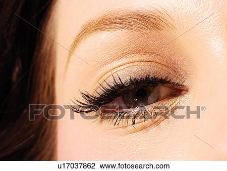 Stock Image - Young Woman, Part Of, Eyebrow, Female, One Young Woman Only, Close-up, Focus. Fotosearch