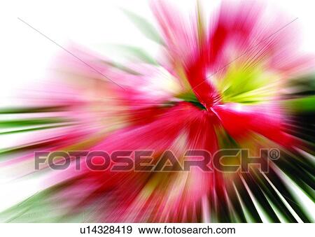Stock Photo - background, pink, red, flower, fictional. Fotosearch