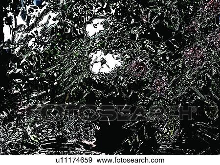 Stock Photo - background, special, fictional, black. Fotosearch
