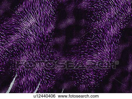 Stock Photograph - night, firework, special, black, background, fictional. Fotosearch