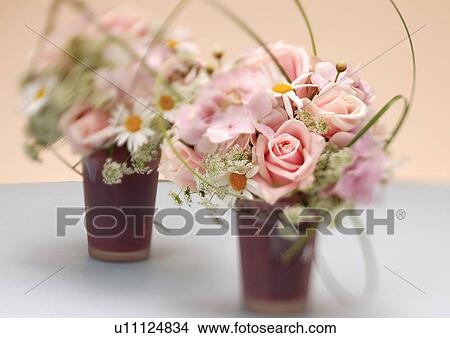 Picture - bloom, blossom, botany, close-up, environment. Fotosearch