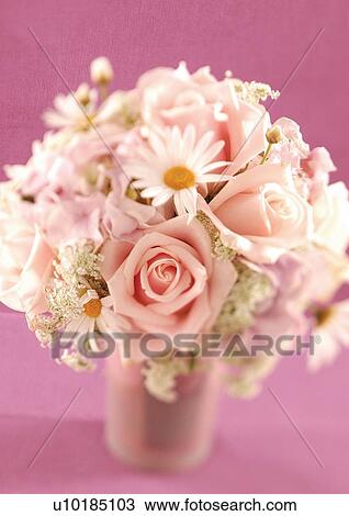 bloom, blossom, botany, close-up, environment View Large Photo Image Stock Image - bloom, blossom, botany, close-up, environment. Fotosearch