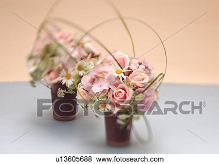 Stock Photo - bloom, blossom, botany, close-up, environment. Fotosearch