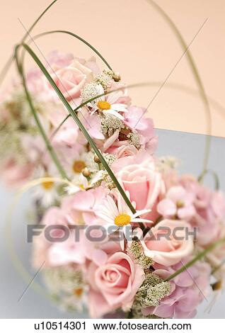 Stock Image - flower story, bloom, stamen, grow, nature, blossom. Fotosearch