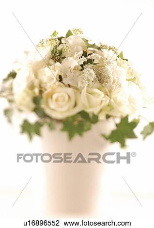 growth, beauty, petals, blossom, bloom View Large Photo Image Stock Image - growth, beauty, petals, blossom, bloom. Fotosearch