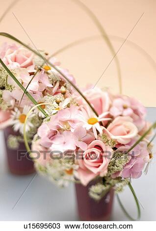 Stock Image - plant kingdom, plant life, close-up, botany, flora, grown. Fotosearch