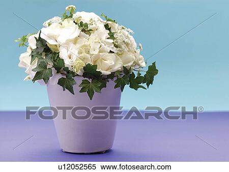 Stock Photography - plant kingdom, vegetation, flower pot, close-up, flower, blossom, beauty. Fotosearch