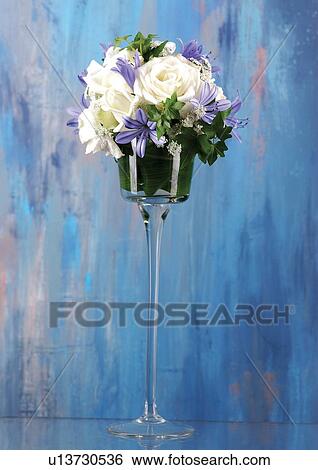 Stock Photograph - plant life, botany, flowering plant, nature. Fotosearch