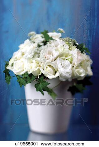 Stock Image - plant life, plantation, natural, cultivated, wild, beauty, flower pot. Fotosearch
