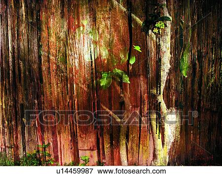 Stock Photo - Brown, Close-Up, Day, Dense, Forest. Fotosearch
