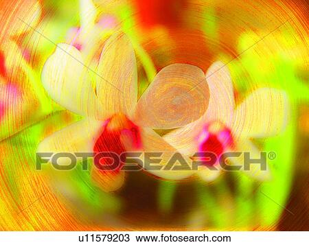 Stock Image - Close-Up, Freshness, Plant Life, Blossom. Fotosearch