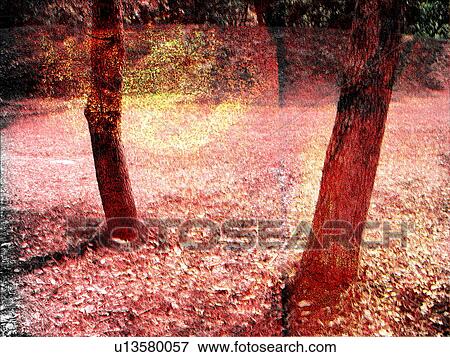 Day, Dry, Fallen, Field View Large Photo Image Stock Photo - Day, Dry, Fallen, Field. Fotosearch