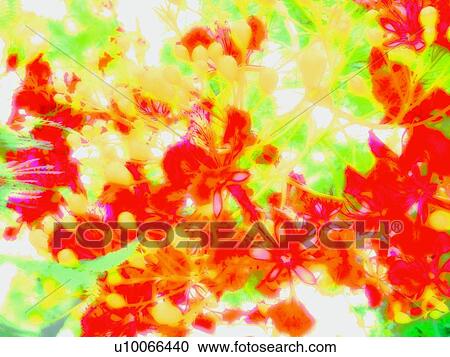 Flower, Leaf, Petal, Outdoor, Blossom View Large Photo Image Stock Image - Flower, Leaf, Petal, Outdoor, Blossom. Fotosearch