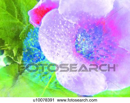 Stock Image - Flowers, Petal, Outdoor, Freshness, Green. Fotosearch