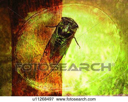 Stock Photo - One Animal, Wood, Wildlife, Nature, Bug. Fotosearch