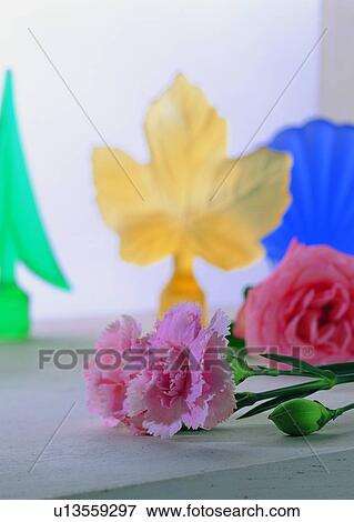 , flower, table, decoration, rose, carnation, plant View Large Photo Image Stock Photo - , flower, table, decoration, rose, carnation, plant. Fotosearch