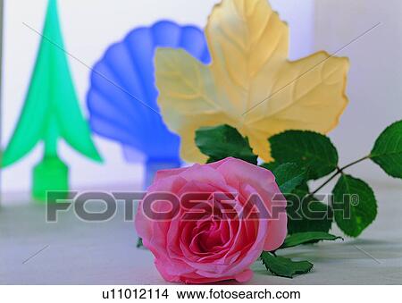 Picture - , leaf, decoration, plant, rose, flower. Fotosearch
