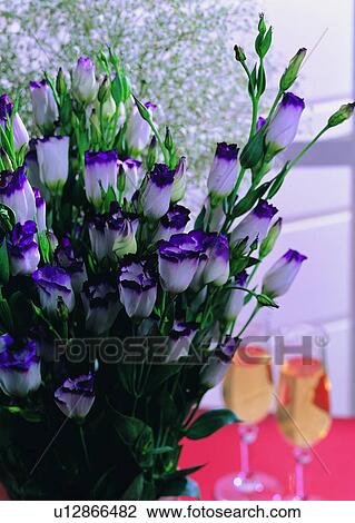 , leaf, flower, plant, wine glass, wall View Large Photo Image Stock Image - , leaf, flower, plant, wine glass, wall. Fotosearch