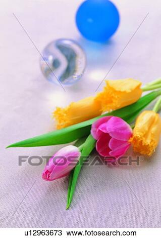 Stock Image - , marble, flower, tulip, pink, plant. Fotosearch