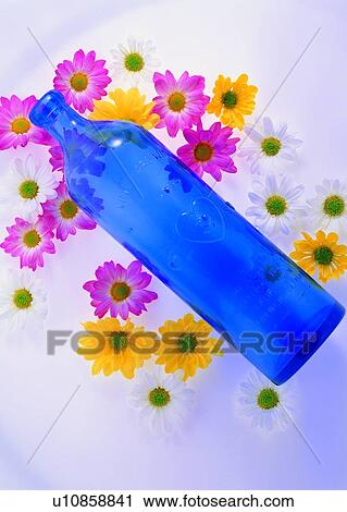 pink, yellow, glass bottle, plant, white, flower, blue View Large Photo Image Stock Image - pink, yellow, glass bottle, plant, white, flower, blue. Fotosearch