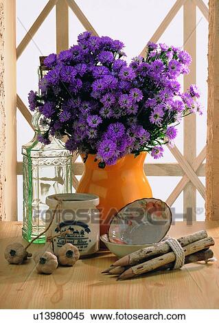 Stock Photography - , plant, flower, daisy, purple, vase. Fotosearch