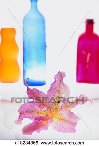 Stock Photography - , plant, flower, lily, glass bottle, ground. Fotosearch