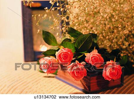 , plant, flower, rose, leaf, book View Large Photo Image Stock Image - , plant, flower, rose, leaf, book. Fotosearch