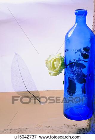 , plant, flower, rose, leaf, glass bottle View Large Photo Image Stock Photo - , plant, flower, rose, leaf, glass bottle. Fotosearch