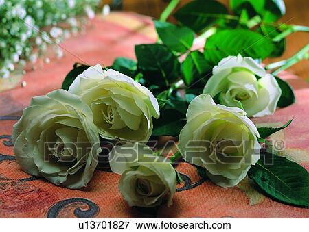 , plant, flower, rose, leaf, table View Large Photo Image Stock Photo - , plant, flower, rose, leaf, table. Fotosearch