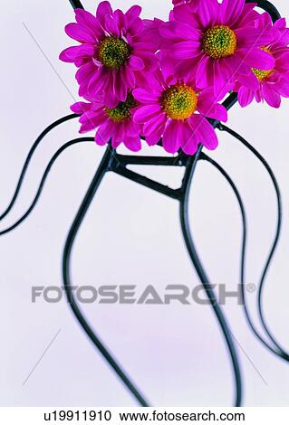 Stock Image - , plant, flower, sun flower, iron piece. Fotosearch
