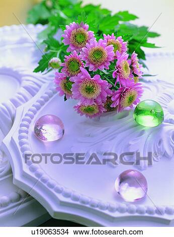 Picture - , plant, flower, sun flower, leaf, table. Fotosearch