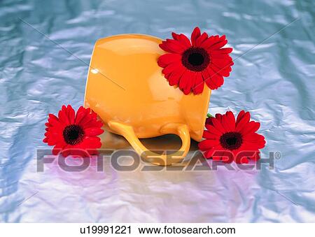 Stock Image - , plant, flower, sun flower, vase, red. Fotosearch