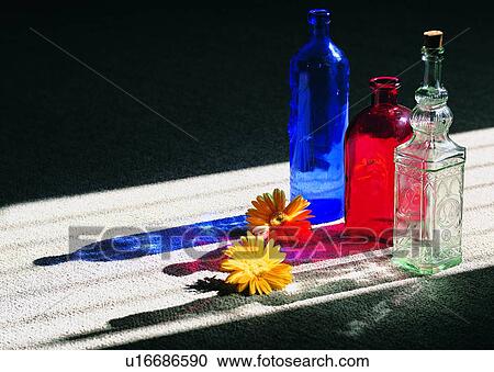 , plant, glass bottle, sun light, flower, sun flower View Large Photo Image Stock Image - , plant, glass bottle, sun light, flower, sun flower. Fotosearch