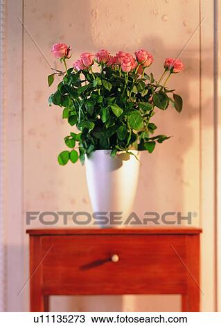 Stock Image - , plant, leaf, wall, cabinet, flower. Fotosearch