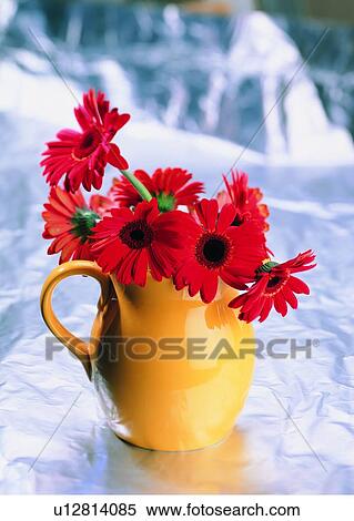 Stock Photography - , red, flower, sun flower, vase, plant. Fotosearch