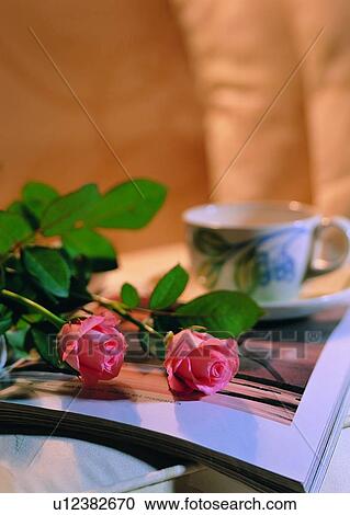 Stock Image - , sofa, magazine, plant, flower, rose. Fotosearch