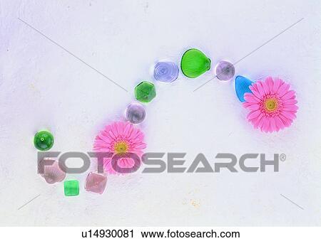Stock Image - , sun flower, stone, ground, plant, flower. Fotosearch