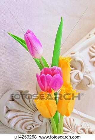 Stock Photo - , yellow, flower, plant, tulip, pink, sculpture. Fotosearch