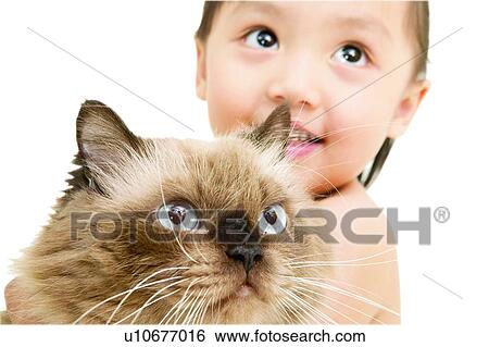 Toothy Smile, Childhood, Cat, Indoor, One Person, Mammal View Large Photo Image Stock Photograph - Toothy Smile, Childhood, Cat, Indoor, One Person, Mammal. Fotosearch