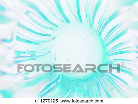 blue, tableware, glass, close-up, radiate View Large Photo Image Stock Photography - blue, tableware, glass, close-up, radiate. Fotosearch