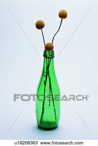 Glass Bottle Vase Tableware Green Stock Image U18208363